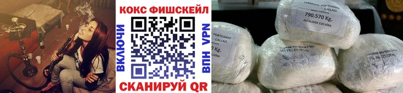 COCAIN FishScale  Купить закладки  Шимановск 