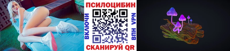 Купить  Шимановск  Галлюциногенные грибы Cubensis 